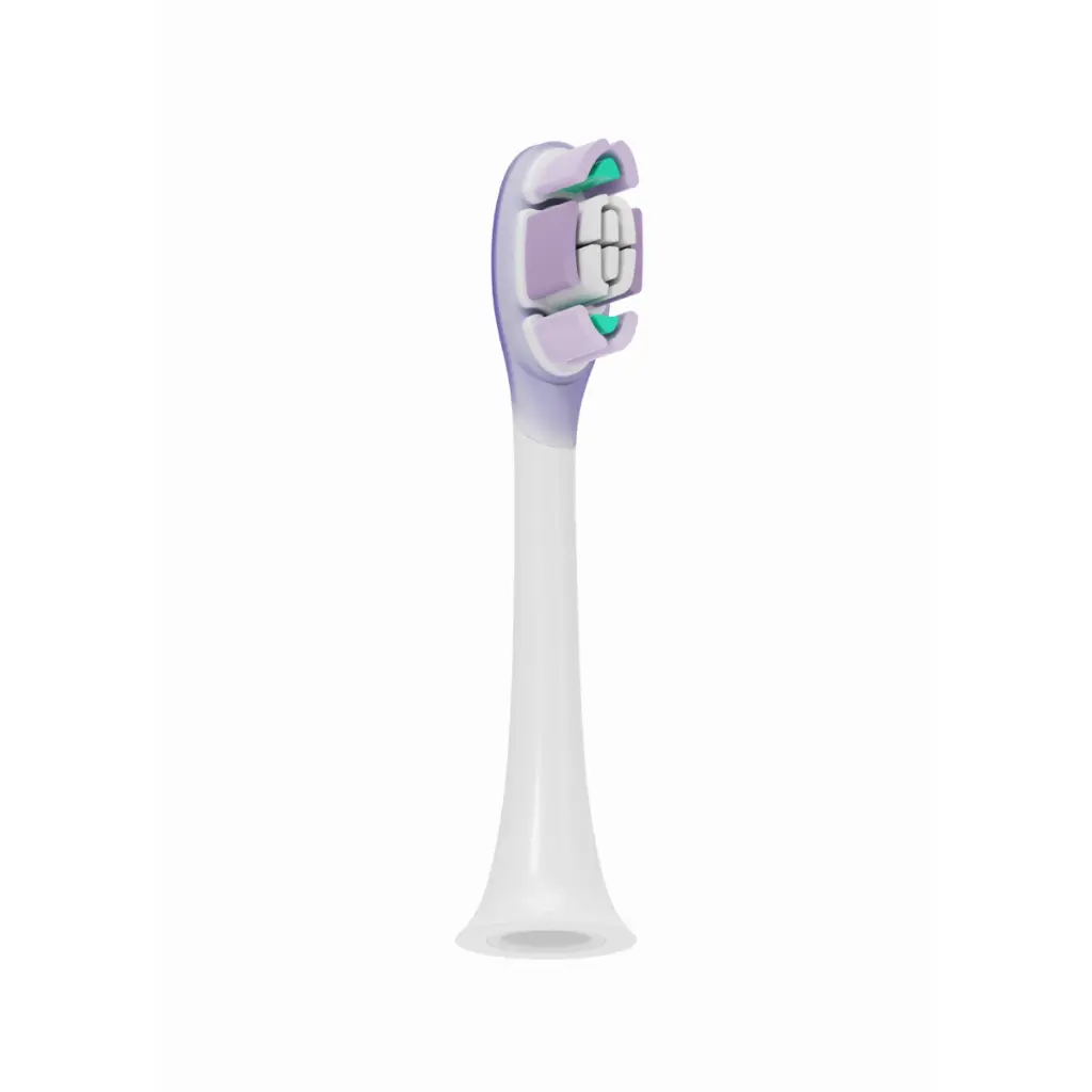 Toothbrush Replacement-02.webp