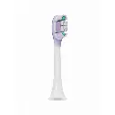 Toothbrush Replacement-02.webp