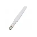 Cisco 2.4 GHz 2 dBi/5 GHz 4 dBi Dipole Ant., White, RP-TNC รุ่น AIR-ANT2524DW-R=