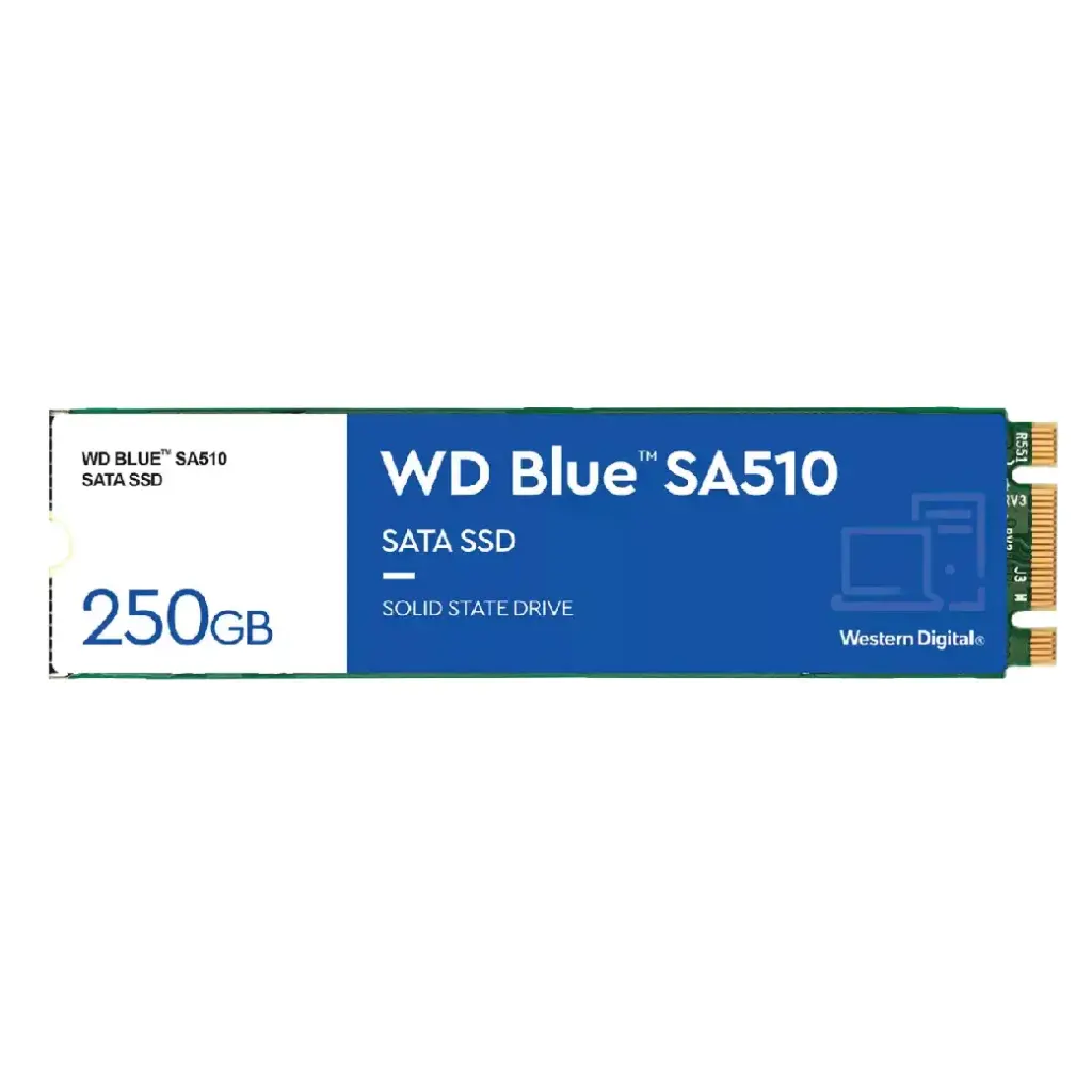 WD SSD BLUE 250GB M.2,SATA 3(6GB/S) - READ 555, WRITE 440 รุ่น WDS250G3B0B​