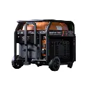 DJI D12000iEP Multifunctional Inverter Generator(EU)